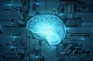 Inteligência artificial ajuda na análise de exames de saúde em até 15 minutos