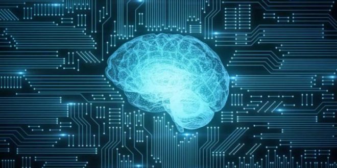 Inteligência artificial ajuda na análise de exames de saúde em até 15 minutos