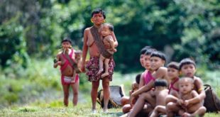 MPF pede ação urgente contra garimpo ilegal na Terra Indígena Yanomami