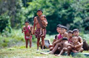 MPF pede ação urgente contra garimpo ilegal na Terra Indígena Yanomami