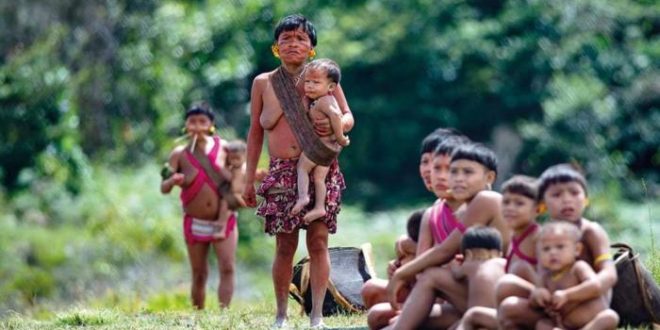 MPF pede ação urgente contra garimpo ilegal na Terra Indígena Yanomami