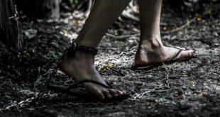 MPT: 24 pessoas são resgatadas de condições análogas à escravidão