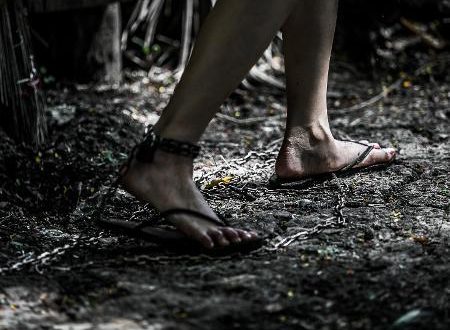 MPT: 24 pessoas são resgatadas de condições análogas à escravidão