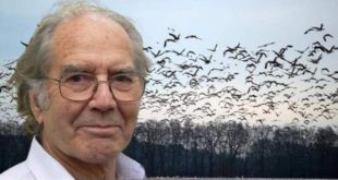 Nobel da Paz denuncia que os EUA usam aves migratórias para espalhar vírus pelo mundo