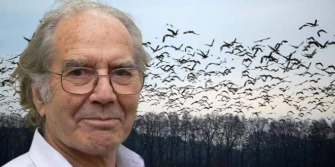 Nobel da Paz denuncia que os EUA usam aves migratórias para espalhar vírus pelo mundo