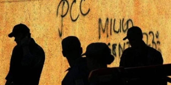 PCC controla crime de Pix na região da Paulista e 'exporta' celular furtado após limpar conta