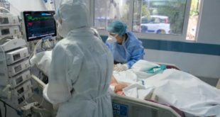 Segundo caso de raiva humana é confirmado em MG; adolescente está na UTI