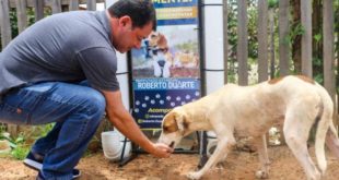 Projeto de Lei de Roberto Duarte que combate a crueldade animal é aprovado na Aleac