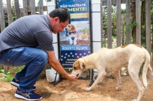 Projeto de Lei de Roberto Duarte que combate a crueldade animal é aprovado na Aleac