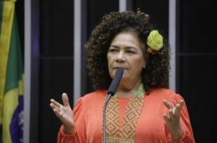 Perpétua pede agilidade em votação de projeto que proíbe cobrança de bagagens em voos nacionais