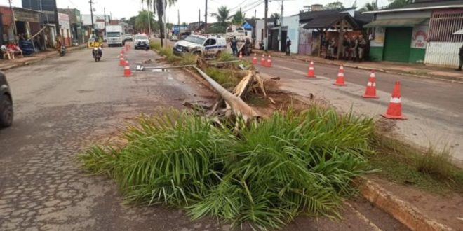Viatura da PM se envolve em acidente e colide com palheiras e poste em Rio Branco
