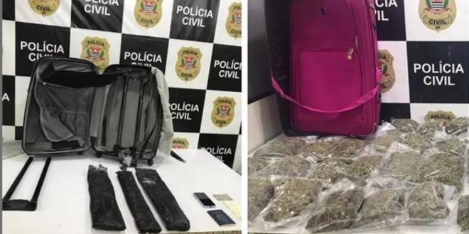 Brasileiros que estudam medicina no Paraguai e Bolívia são presos acusados de serem ‘mulas’ de traficantes