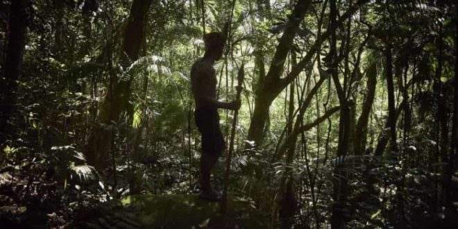 Aldeias de terra indígena no Pará estão sob ameaça de ataques, diz MPF