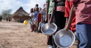 Reino Unido se junta aos EUA e diz que Rússia utiliza comida como arma