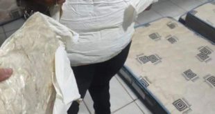 Mulher é presa em ônibus transportando mais de três quilos de cocaína na cintura