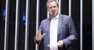 Comissão rejeita projeto que torna obrigatória a presença de veterinário em lojas especializadas