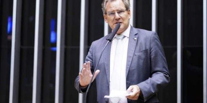 Comissão rejeita projeto que torna obrigatória a presença de veterinário em lojas especializadas