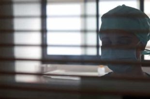 OMS: vírus da covid continua a se disseminar em nível bastante intenso, diz líder