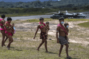 Comissões visitam comunidade ianomâmi em Roraima nesta quarta