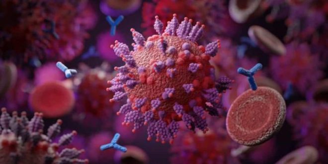 Subvariantes da Ômicron podem evitar imunidade de infecções passadas