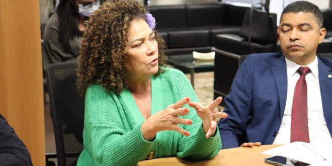 Perpétua questiona interesses de Musk no Brasil e encontro com Bolsonaro