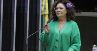 Senado aprova emenda de Perpétua que autoriza a volta do despacho gratuito de bagagem