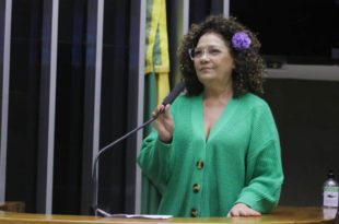 Senado aprova emenda de Perpétua que autoriza a volta do despacho gratuito de bagagem