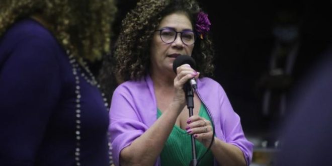 Governo pode até vetar fim da cobrança por bagagem, mas Congresso derrubará, diz Perpétua