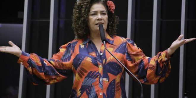 Perpétua apresenta projeto para suspender decisão da Aneel que aumentou conta de luz