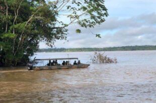 Vale do Javari, onde indigenista e repórter desapareceram, é alvo de cobiça do Comando Vermelho
