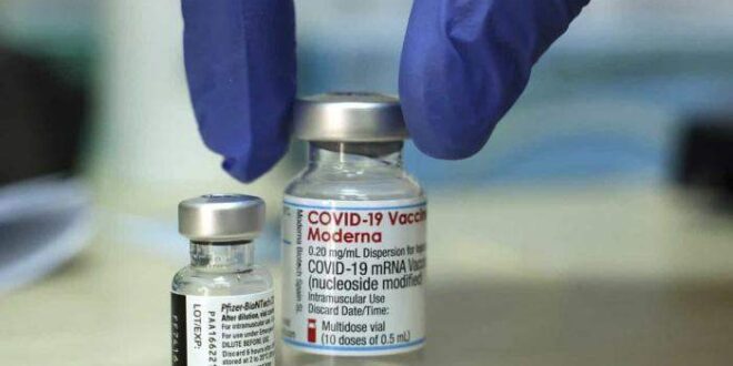 Ômicron. Nova vacina da Moderna produz oito vezes mais anticorpos