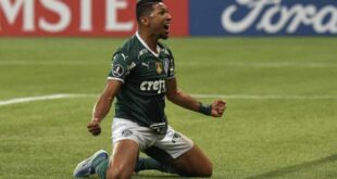 Palmeiras assume a liderança do Brasileirão com goleada sobre o Botafogo
