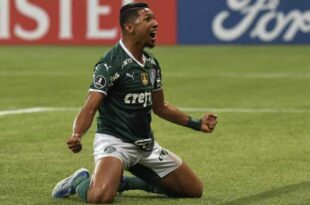 Palmeiras assume a liderança do Brasileirão com goleada sobre o Botafogo