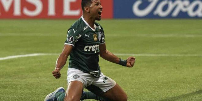 Palmeiras assume a liderança do Brasileirão com goleada sobre o Botafogo