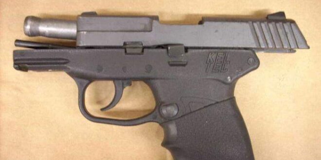 Polícia de SP investiga suposto esquema do PCC para compra de armas via CACs (colecionadores, atiradores e caçadores)