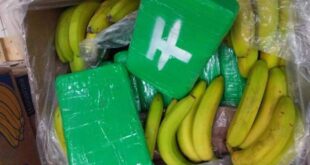 Traficantes entregam por engano cocaína avaliada em R$ 427 mi em supermercados