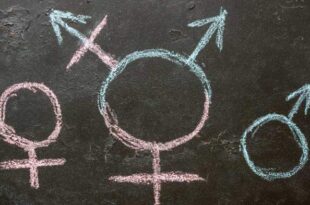Alemanha aprova e transgêneros decidirão se atuam em time masculino ou feminino