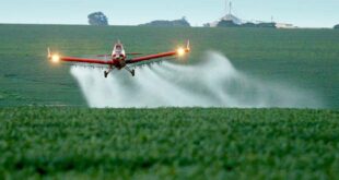 Inacreditável: Comissão do Senado aprova projeto que permite ao Agro certificarem eles mesmos a qualidade do que produzem