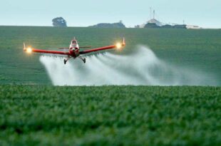 Inacreditável: Comissão do Senado aprova projeto que permite ao Agro certificarem eles mesmos a qualidade do que produzem