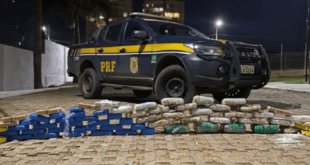 Motorista é preso com quase 60kg de drogas dentro de sacas de milho no interior do Acre