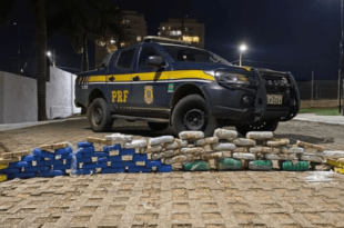 Motorista é preso com quase 60kg de drogas dentro de sacas de milho no interior do Acre