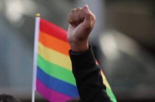 IBGE: desembargador derruba liminar sobre inclusão de questão LGBT+ no Censo
