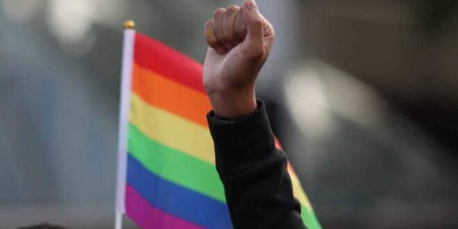 IBGE: desembargador derruba liminar sobre inclusão de questão LGBT+ no Censo