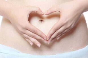Probióticos: Como essas bactérias agem no seu intestino?