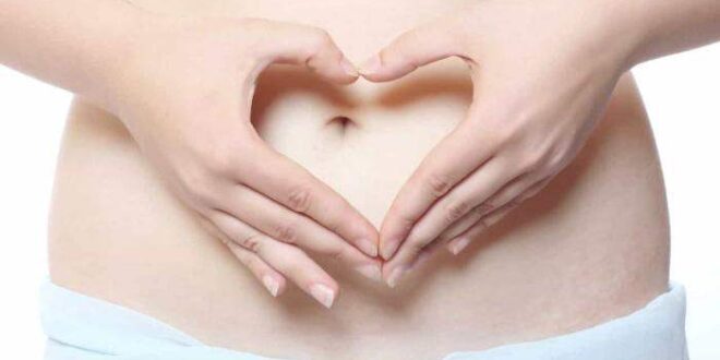 Probióticos: Como essas bactérias agem no seu intestino?