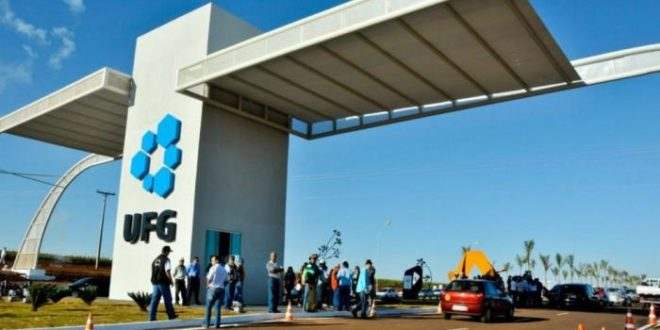 UFG oferece mais de 600 vagas em cursos gratuitos EAD