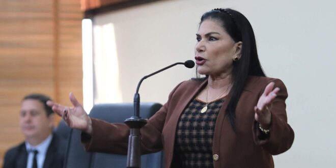 "Governador, cadê o dinheiro que o senhor recebeu para investir na saúde? Pessoas estão morrendo na fila do TFD", diz Antonia Sales