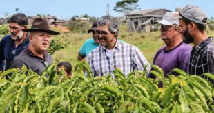 Edvaldo Magalhães e Jonas Lima visitam produtores de café do Projeto Tocantins e reforçam apoio à cultura