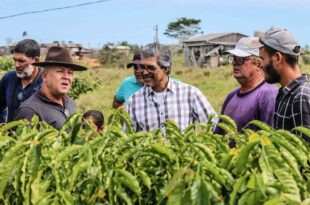 Edvaldo Magalhães e Jonas Lima visitam produtores de café do Projeto Tocantins e reforçam apoio à cultura
