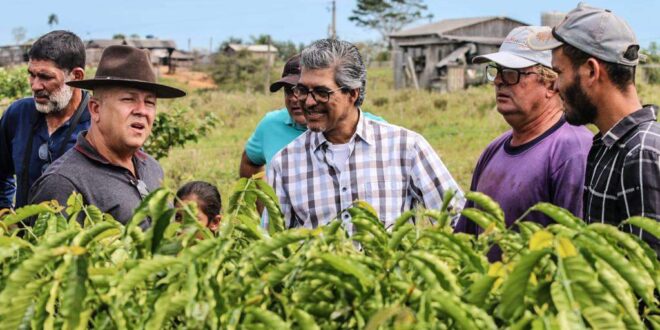 Edvaldo Magalhães e Jonas Lima visitam produtores de café do Projeto Tocantins e reforçam apoio à cultura